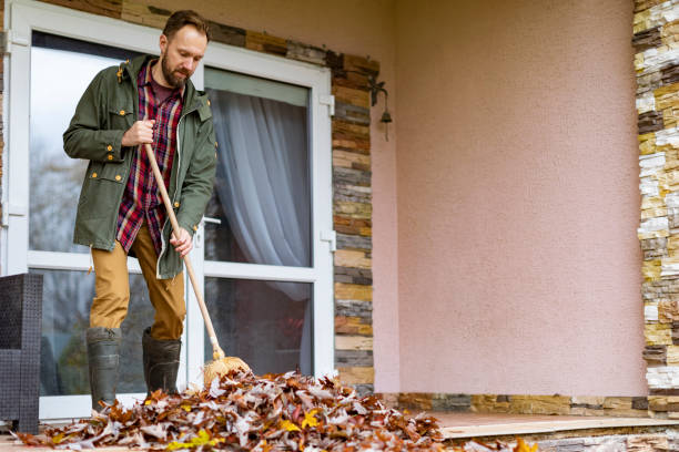 Best Construction Debris Removal  in Williston Park, NY